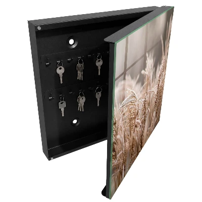 Frosty grass Wall mounted key box
