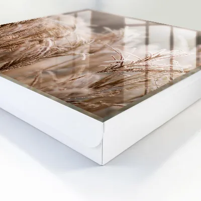 Frosty grass Wall mounted key box