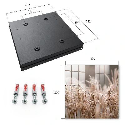 Frosty grass Wall mounted key box