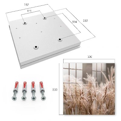 Frosty grass Wall mounted key box