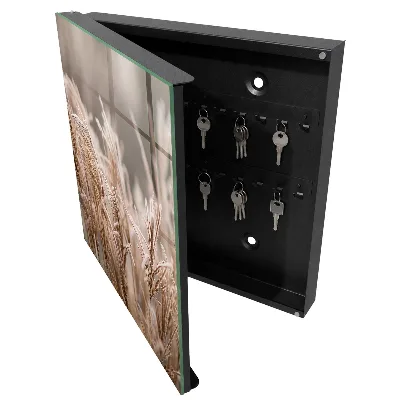 Frosty grass Wall mounted key box