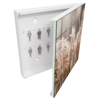 Frosty grass Wall mounted key box