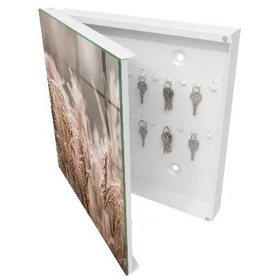 Frosty grass Wall mounted key box