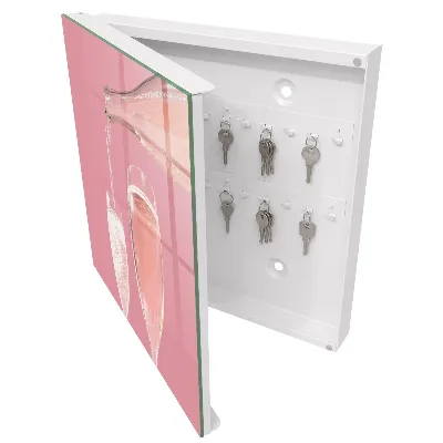 Champagne glasses Wall mounted key box