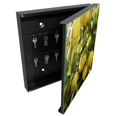 Juicy freshness Key cabinet