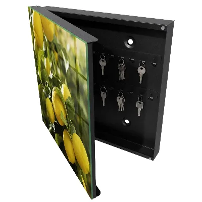 Juicy freshness Key cabinet