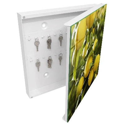 Juicy freshness Key cabinet