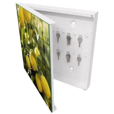 Juicy freshness Key cabinet