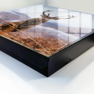 Mountain deer Key cabinet