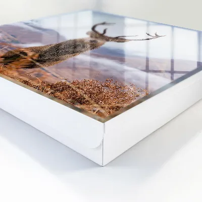 Mountain deer Key cabinet