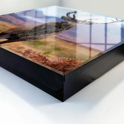Deer in the mountains Key box for wall