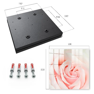Romantic rose Wall mounted key box