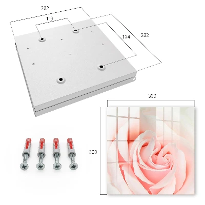 Romantic rose Wall mounted key box
