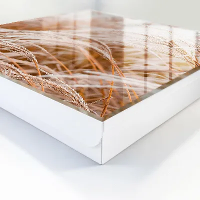 Delicate grasses Key cabinet