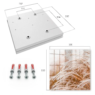Delicate grasses Key cabinet