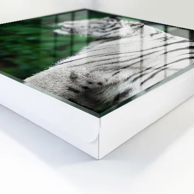 White tiger Key box for wall
