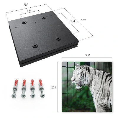 White tiger Key box for wall