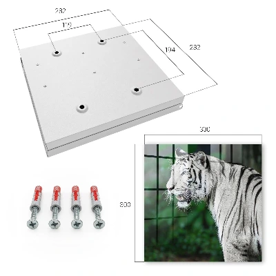 White tiger Key box for wall