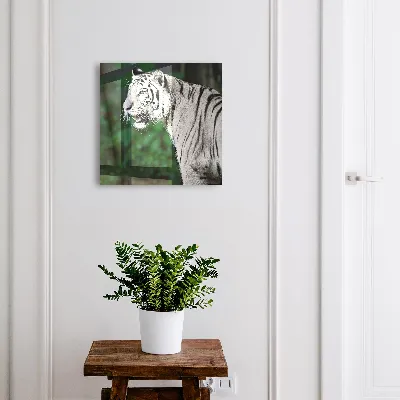 White tiger Key box for wall
