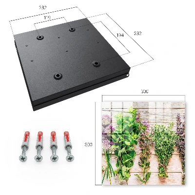 Green herbs Key cabinet