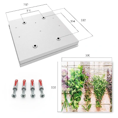 Green herbs Key cabinet