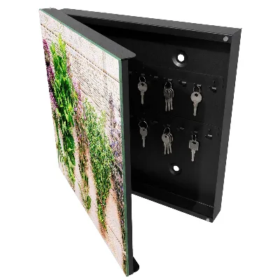 Green herbs Key cabinet