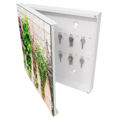 Green herbs Key cabinet