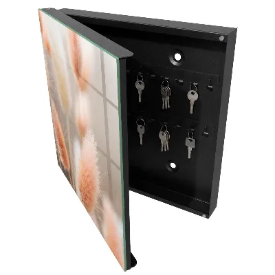 Subtlety of nature Key cabinet