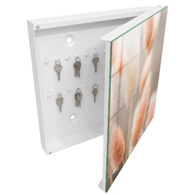 Subtlety of nature Key cabinet
