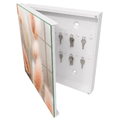 Subtlety of nature Key cabinet