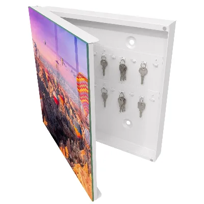 Balloons in the air Key box for wall