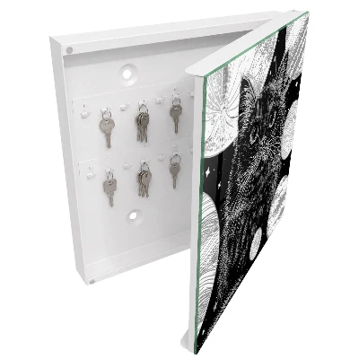 Cosmic cat Key box for wall