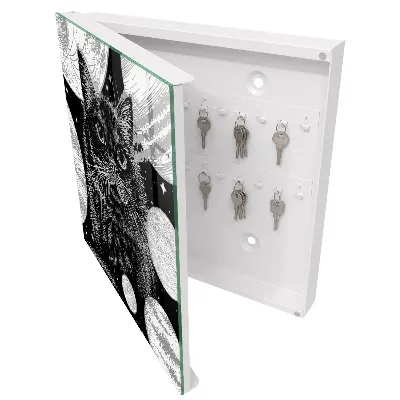Cosmic cat Key box for wall