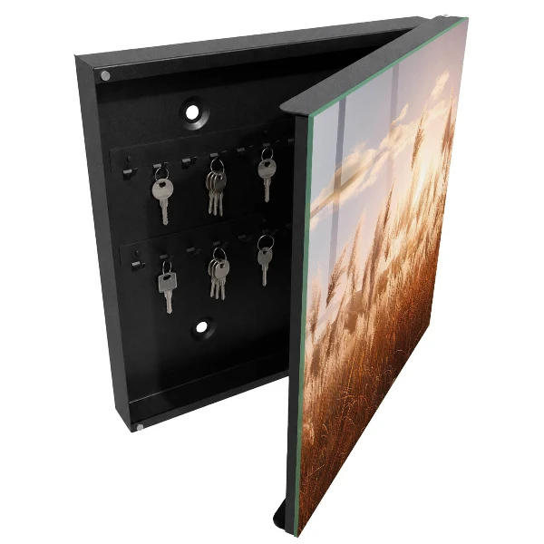 Sunset grasses Wall mounted key box
