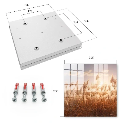 Sunset grasses Wall mounted key box