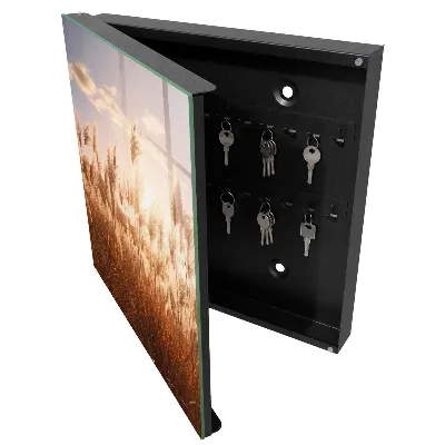 Sunset grasses Wall mounted key box