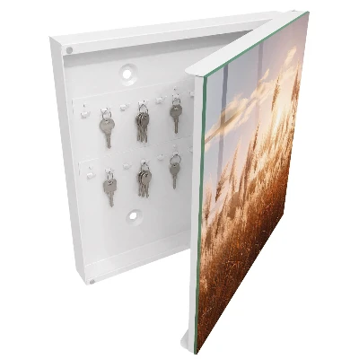 Sunset grasses Wall mounted key box