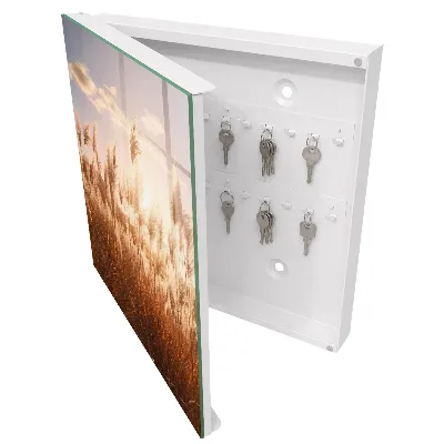 Sunset grasses Wall mounted key box