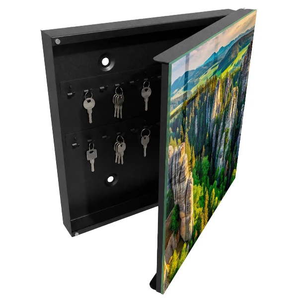 Rocks and forest Wall mounted key box