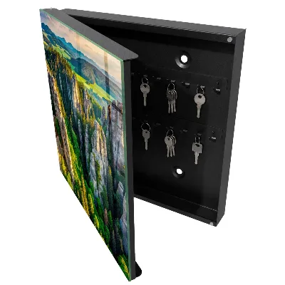 Rocks and forest Wall mounted key box
