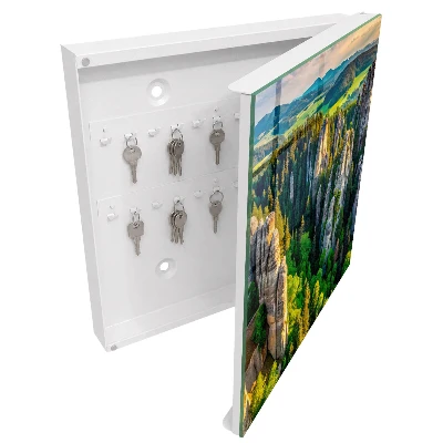 Rocks and forest Wall mounted key box
