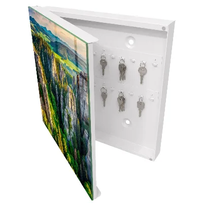 Rocks and forest Wall mounted key box
