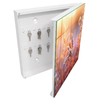 Sunset Key box for wall