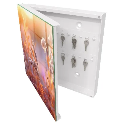 Sunset Key box for wall