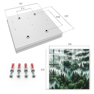 Misty forest Key box for wall