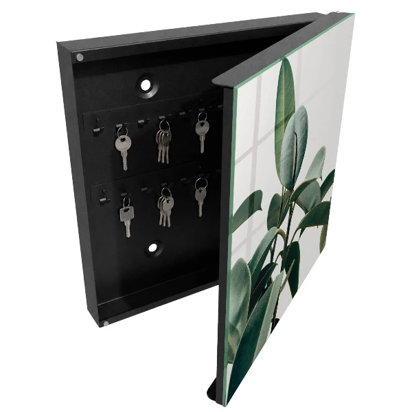 Ficus leaves Key cabinet