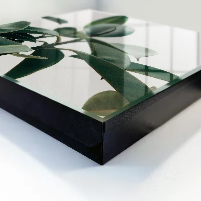Ficus leaves Key cabinet