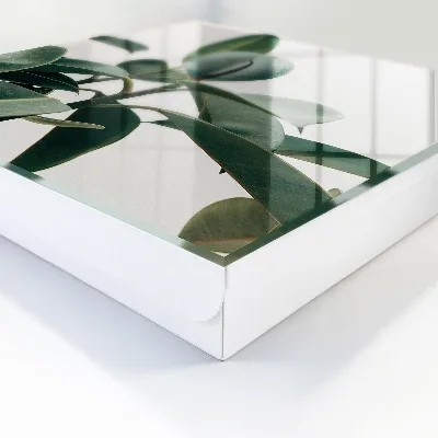 Ficus leaves Key cabinet