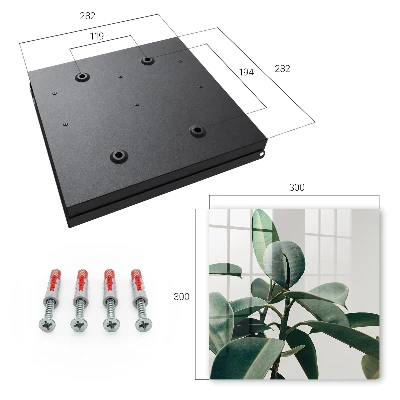 Ficus leaves Key cabinet