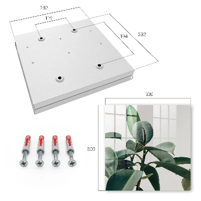 Ficus leaves Key cabinet